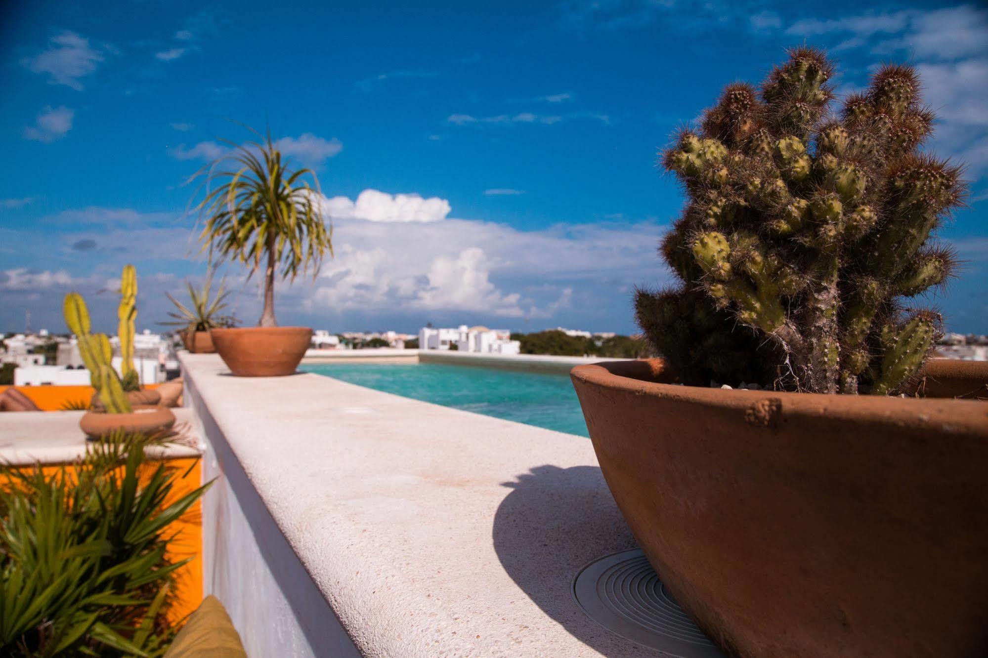 La Galeria By Bunik Hotel Playa del Carmen Kültér fotó