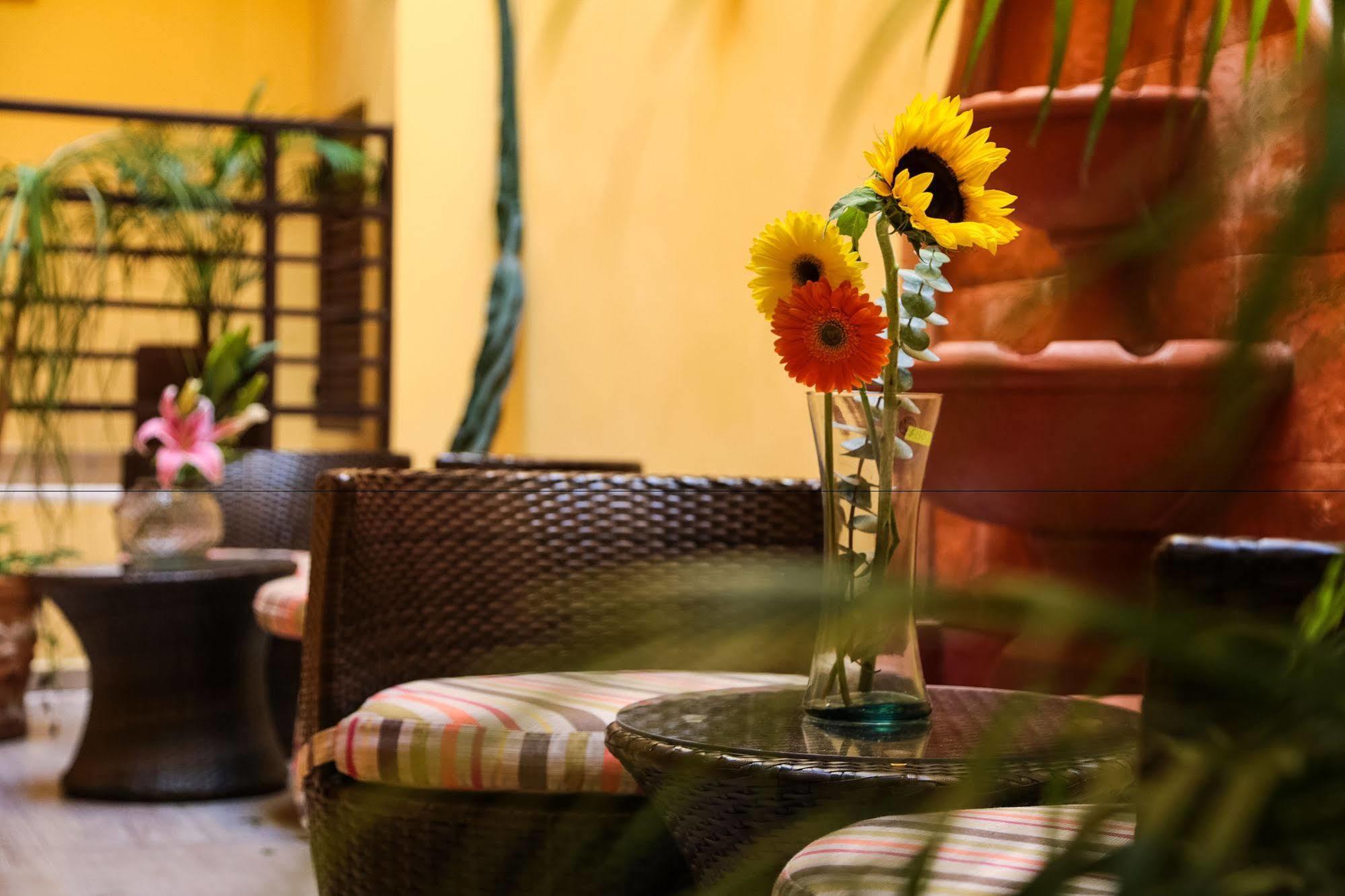 La Galeria By Bunik Hotel Playa del Carmen Kültér fotó